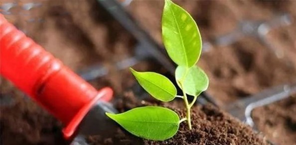 硝硫基復(fù)合肥特點(diǎn)