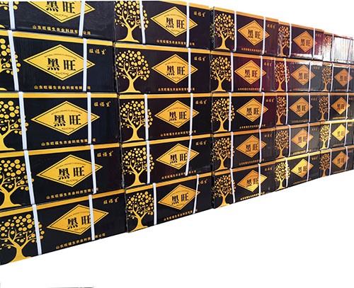 “黑旺”天然有機(jī)流體氮