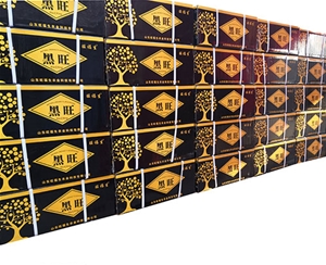 “黑旺”天然有機(jī)流體氮